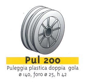 PULEGGIA 2 GOLE